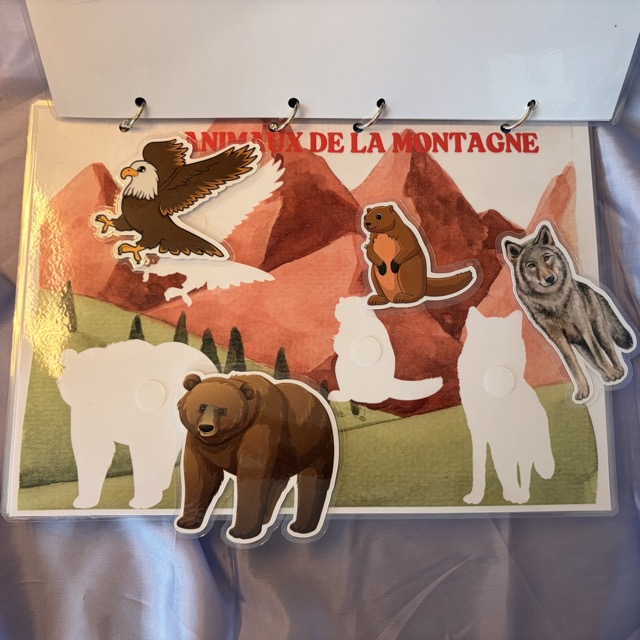 Livret d'activités Les Animaux de la terre 3