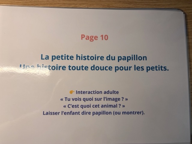 Histoire Kamishibai - La vie du Papillon 6