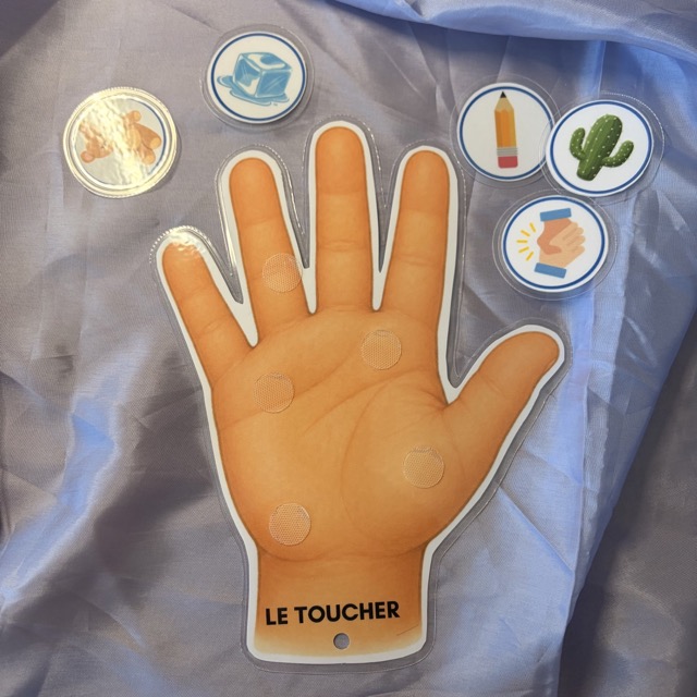 Les 5 Sens 5