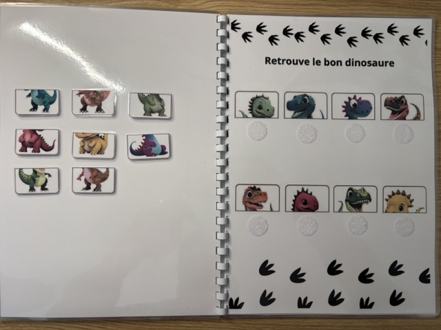 Livret d'activités sur les Dinosaures 8