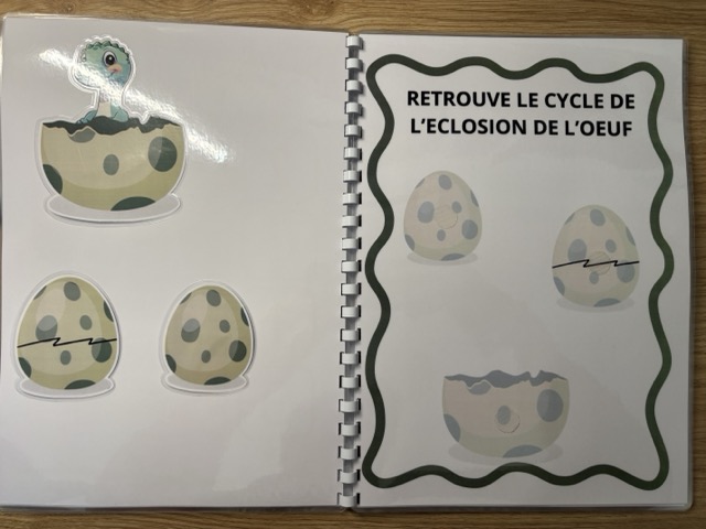 Livret d'activités sur les Dinosaures 6