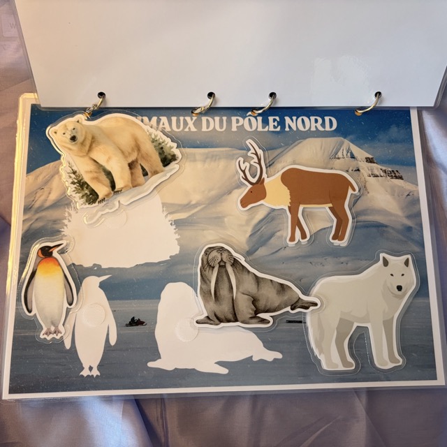 Livret d'activités Les Animaux de la terre 5