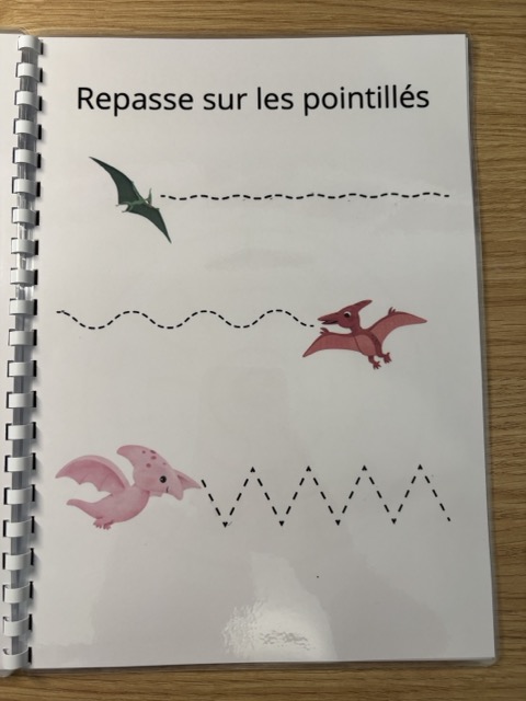 Livret d'activités sur les Dinosaures 10