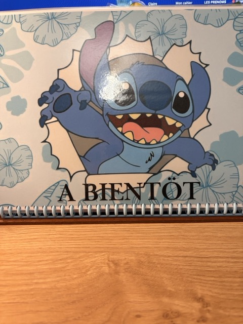 Livret d'activités Stitch 16